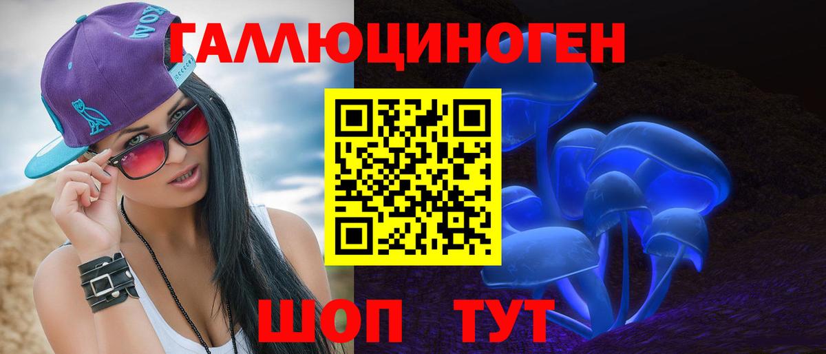 Гусиноозёрск  Псилоцибиновые грибы GOLDEN TEACHER  Вход с VPN 